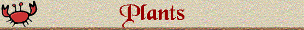 Plants