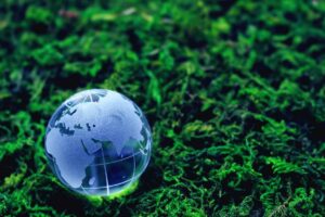 ecologia