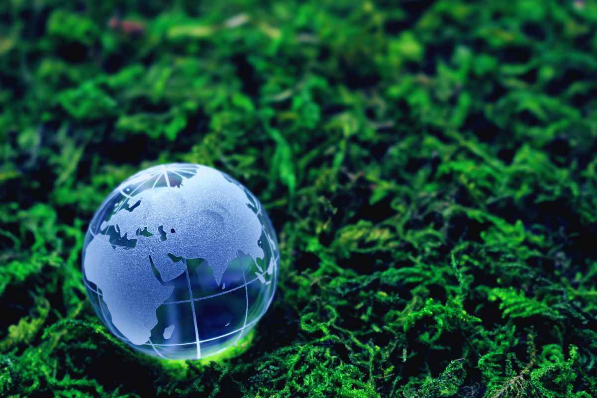 ecologia