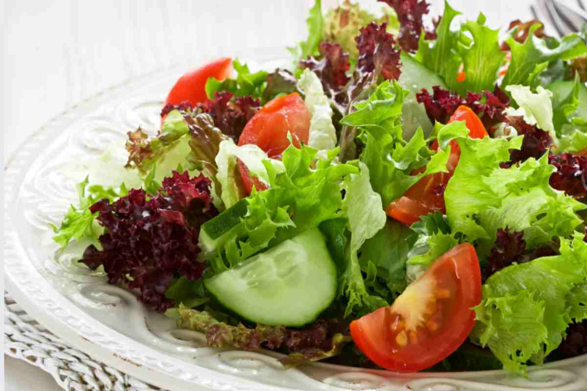 insalata