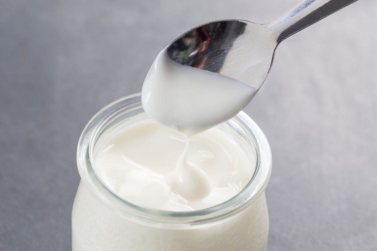 Vasetto di yogurt bianco